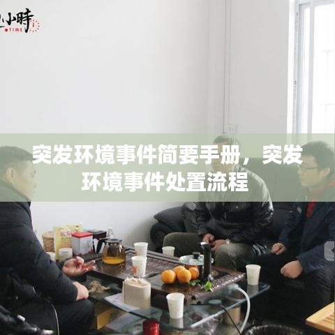 突發(fā)環(huán)境事件簡(jiǎn)要手冊(cè)，突發(fā)環(huán)境事件處置流程 