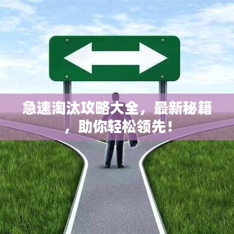 急速淘汰攻略大全，最新秘籍，助你輕松領(lǐng)先！