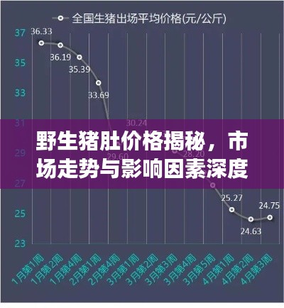 野生豬肚價(jià)格揭秘，市場(chǎng)走勢(shì)與影響因素深度解析