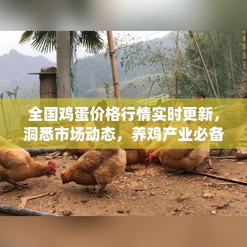zhuodiaoweipu 第2頁(yè)