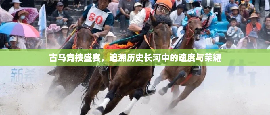 古馬競技盛宴，追溯歷史長河中的速度與榮耀