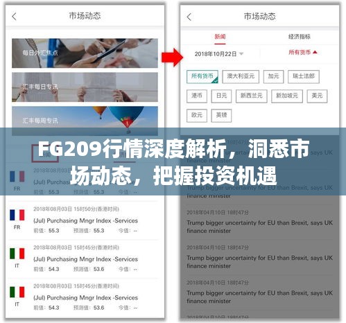 FG209行情深度解析，洞悉市場動態(tài)，把握投資機遇