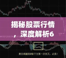 揭秘股票行情，深度解析600761走勢(shì)