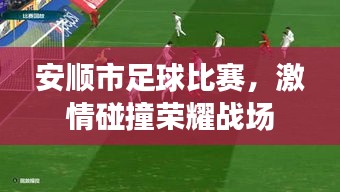 安順市足球比賽，激情碰撞榮耀戰(zhàn)場