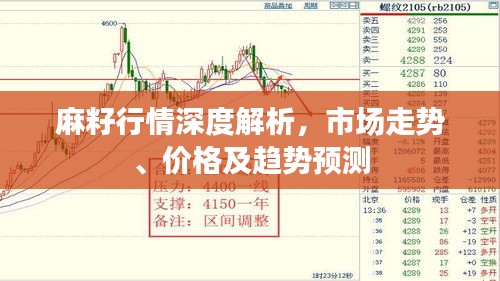 麻籽行情深度解析，市場走勢、價格及趨勢預測