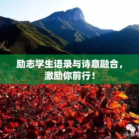 虎背熊腰 第2頁