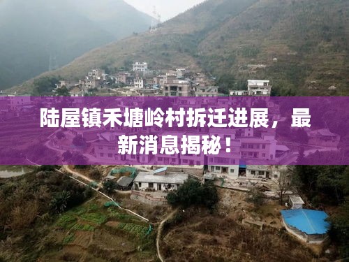 陸屋鎮(zhèn)禾塘嶺村拆遷進(jìn)展，最新消息揭秘！