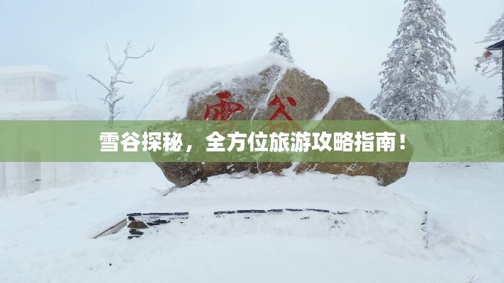雪谷探秘，全方位旅游攻略指南！