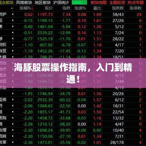 海豚股票操作指南，入門到精通！