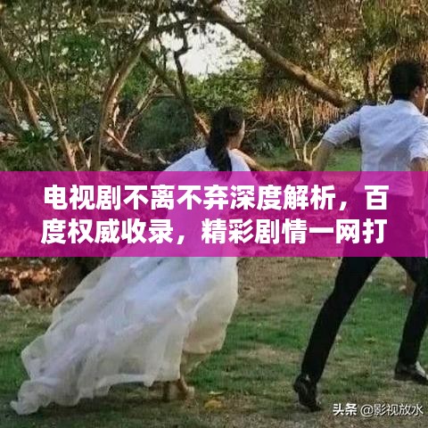 電視劇不離不棄深度解析，百度權(quán)威收錄，精彩劇情一網(wǎng)打盡！