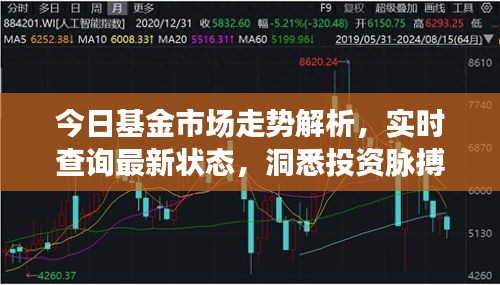 今日基金市場走勢解析，實時查詢最新狀態(tài)，洞悉投資脈搏，把握財富機遇！