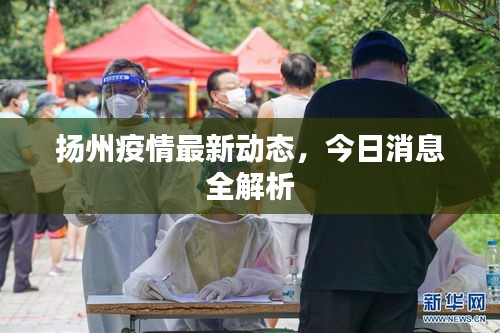 揚州疫情最新動態(tài)，今日消息全解析