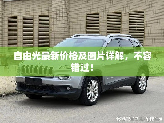 自由光最新價格及圖片詳解，不容錯過！