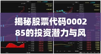 揭秘股票代碼000285的投資潛力與風(fēng)險控制策略，股票深度解析