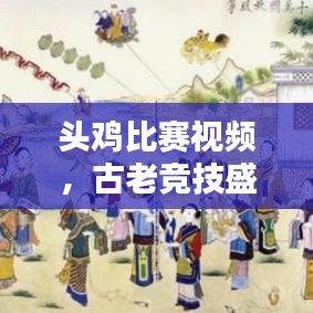 頭雞比賽視頻，古老競技盛宴再現(xiàn)輝煌！