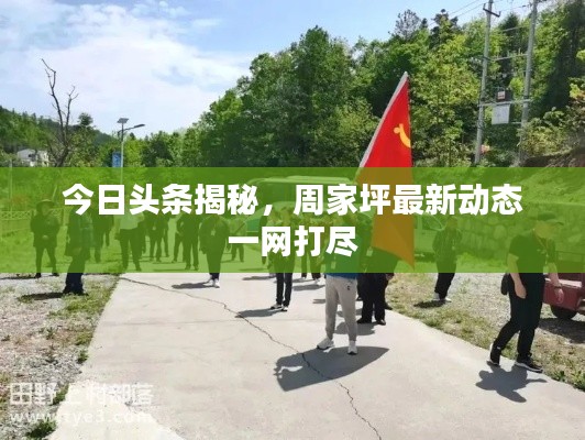 今日頭條揭秘，周家坪最新動(dòng)態(tài)一網(wǎng)打盡