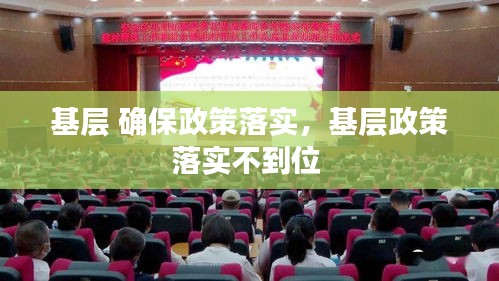 基層 確保政策落實，基層政策落實不到位 