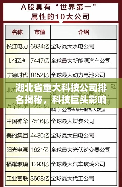 湖北省重大科技公司排名揭秘，科技巨頭影響力與實力解析