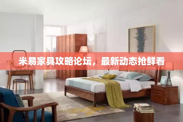 米易家具攻略論壇，最新動(dòng)態(tài)搶鮮看