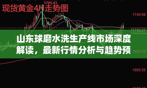 山東球磨水洗生產(chǎn)線市場深度解讀，最新行情分析與趨勢預(yù)測