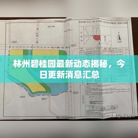 林州碧桂園最新動(dòng)態(tài)揭秘，今日更新消息匯總