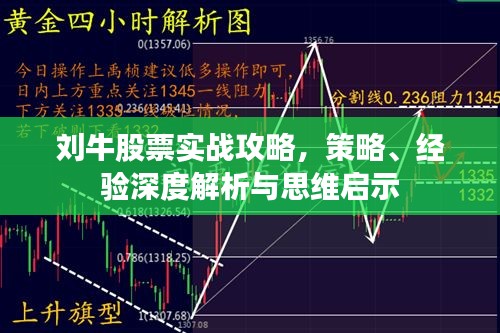 劉牛股票實戰(zhàn)攻略，策略、經(jīng)驗深度解析與思維啟示