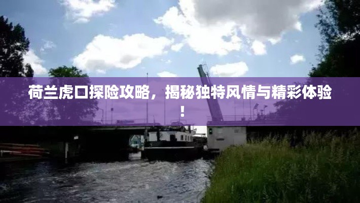荷蘭虎口探險(xiǎn)攻略，揭秘獨(dú)特風(fēng)情與精彩體驗(yàn)！