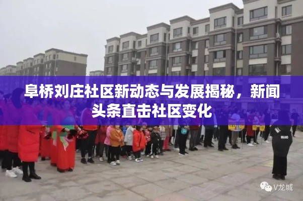 阜橋劉莊社區(qū)新動態(tài)與發(fā)展揭秘，新聞頭條直擊社區(qū)變化