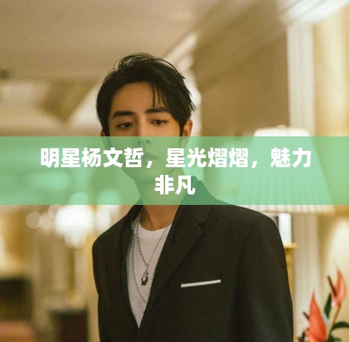 明星楊文哲，星光熠熠，魅力非凡