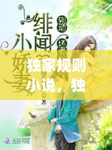 獨(dú)家規(guī)則小說，獨(dú)家jiyi 