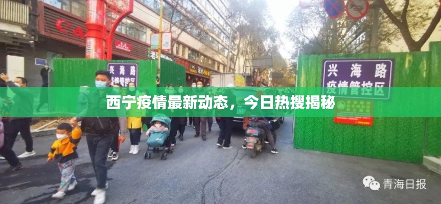 西寧疫情最新動態(tài)，今日熱搜揭秘