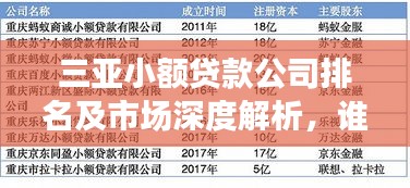 三亞小額貸款公司排名及市場(chǎng)深度解析，誰(shuí)是行業(yè)佼佼者？