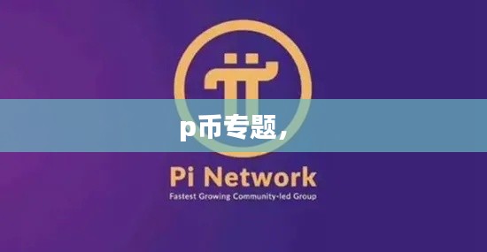 p幣專題， 