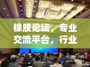 橡膠論壇，專業(yè)交流平臺，行業(yè)精英齊聚一堂