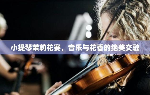 小提琴茉莉花賽，音樂(lè)與花香的絕美交融