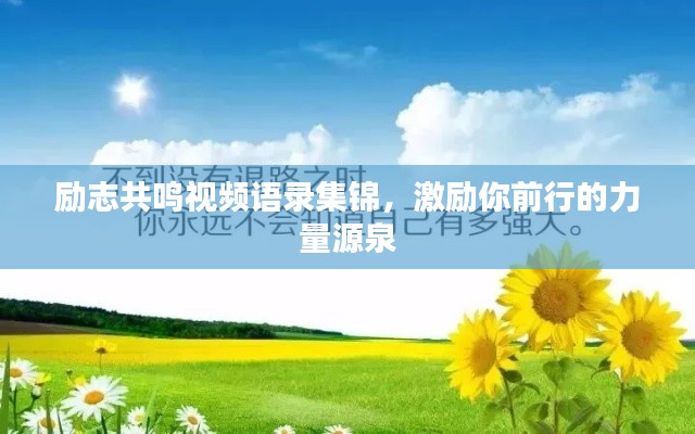勵志共鳴視頻語錄集錦，激勵你前行的力量源泉
