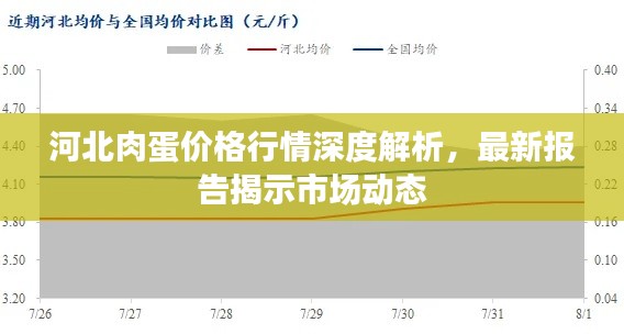 河北肉蛋價(jià)格行情深度解析，最新報(bào)告揭示市場(chǎng)動(dòng)態(tài)