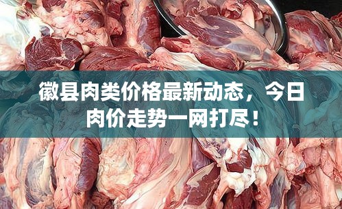 天生萬物，唯人為貴 第2頁