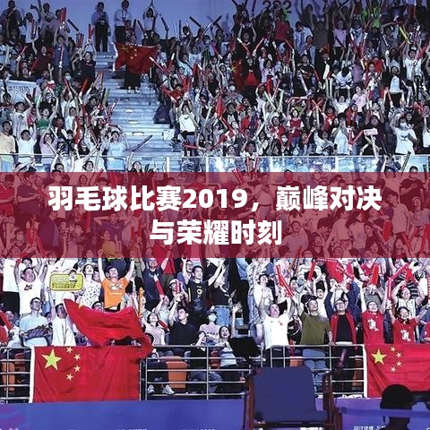 羽毛球比賽2019，巔峰對(duì)決與榮耀時(shí)刻