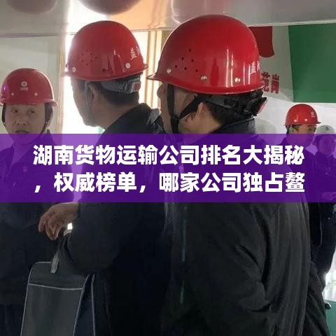湖南貨物運輸公司排名大揭秘，權(quán)威榜單，哪家公司獨占鰲頭？