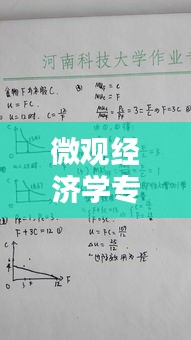 微觀經(jīng)濟(jì)學(xué)專題論述題型，微觀經(jīng)濟(jì)學(xué)期末考試論述題 