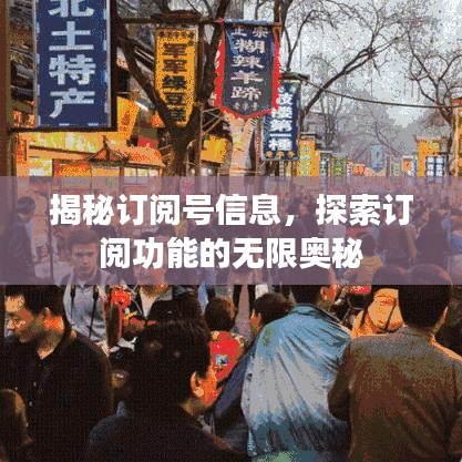 揭秘訂閱號信息，探索訂閱功能的無限奧秘