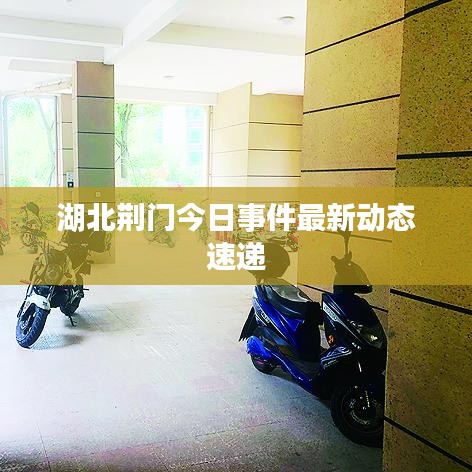 湖北荊門今日事件最新動(dòng)態(tài)速遞