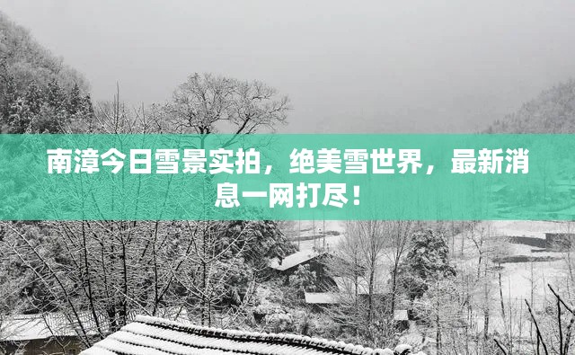 南漳今日雪景實(shí)拍，絕美雪世界，最新消息一網(wǎng)打盡！