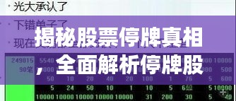 揭秘股票停牌真相，全面解析停牌股票影響及查詢攻略