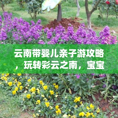 云南帶嬰兒親子游攻略，玩轉(zhuǎn)彩云之南，寶寶也能享受無限樂趣！