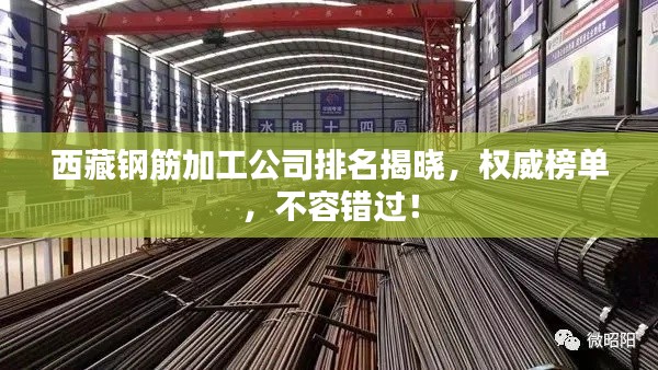 西藏鋼筋加工公司排名揭曉，權(quán)威榜單，不容錯過！