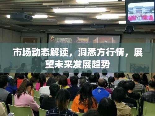市場動態(tài)解讀，洞悉方行情，展望未來發(fā)展趨勢