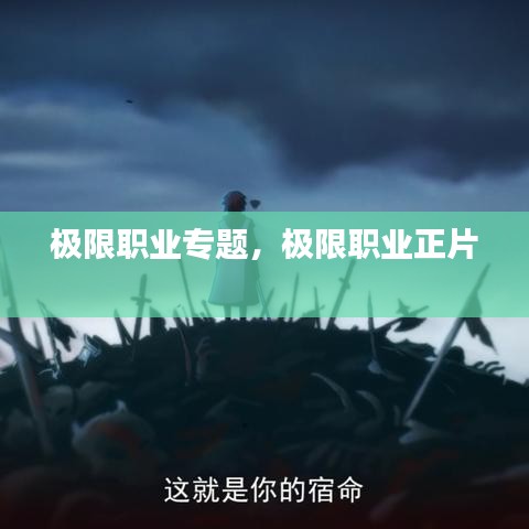 極限職業(yè)專題，極限職業(yè)正片 