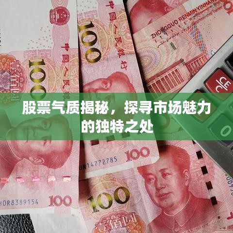 股票氣質(zhì)揭秘，探尋市場魅力的獨特之處